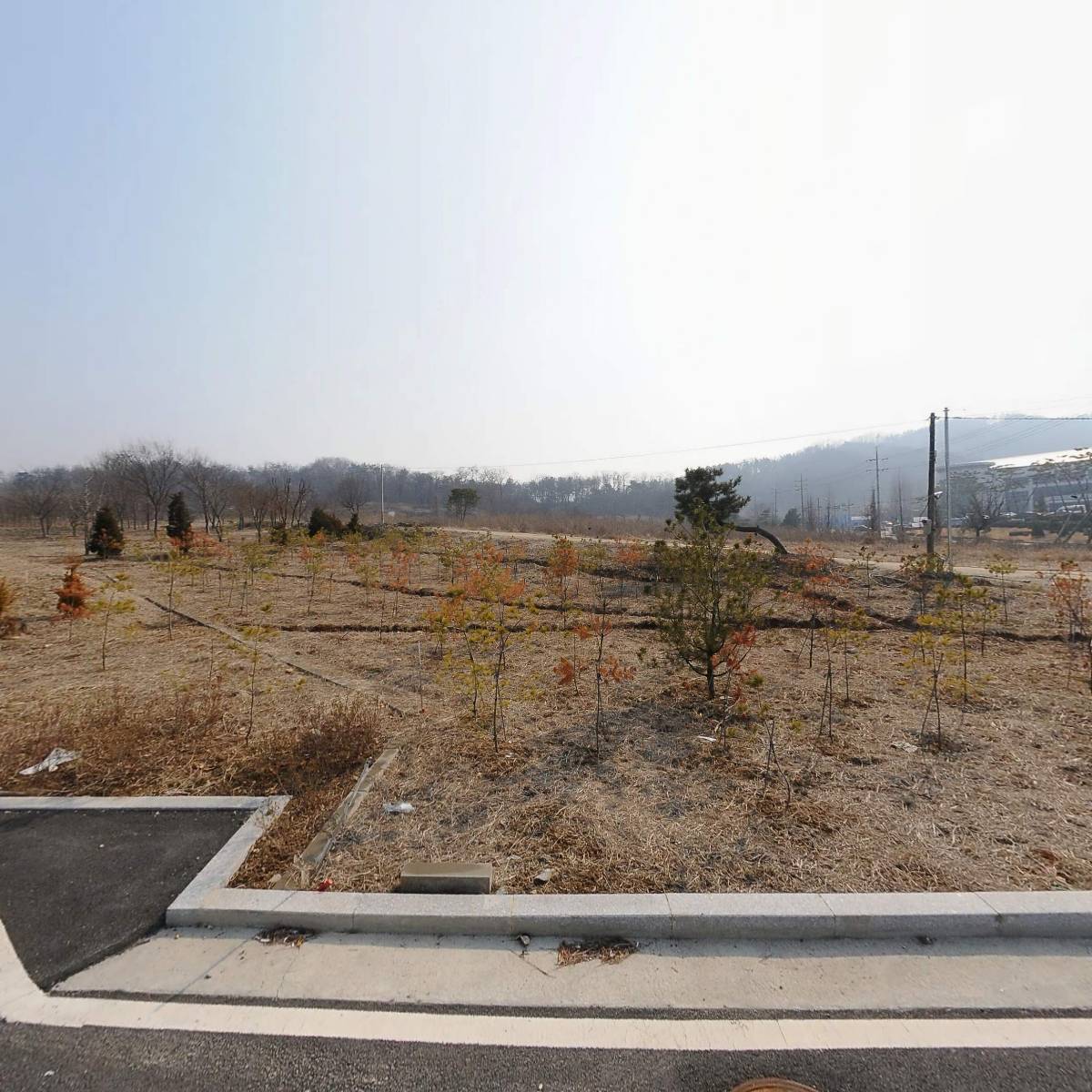 (주)비선개발_3