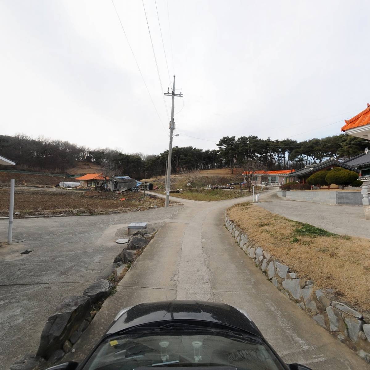예산군 길고양이 보호협회_4