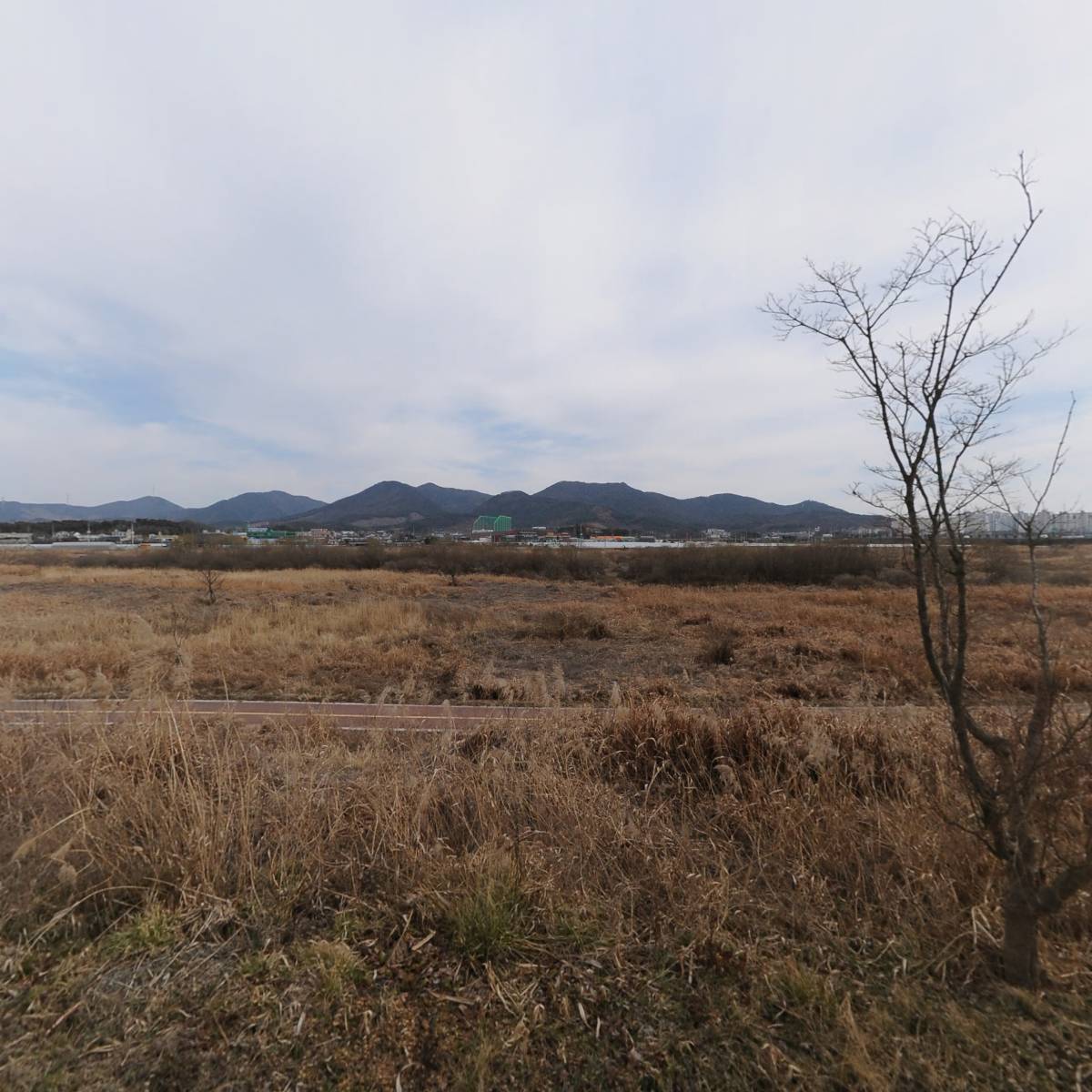 (주)대영환경