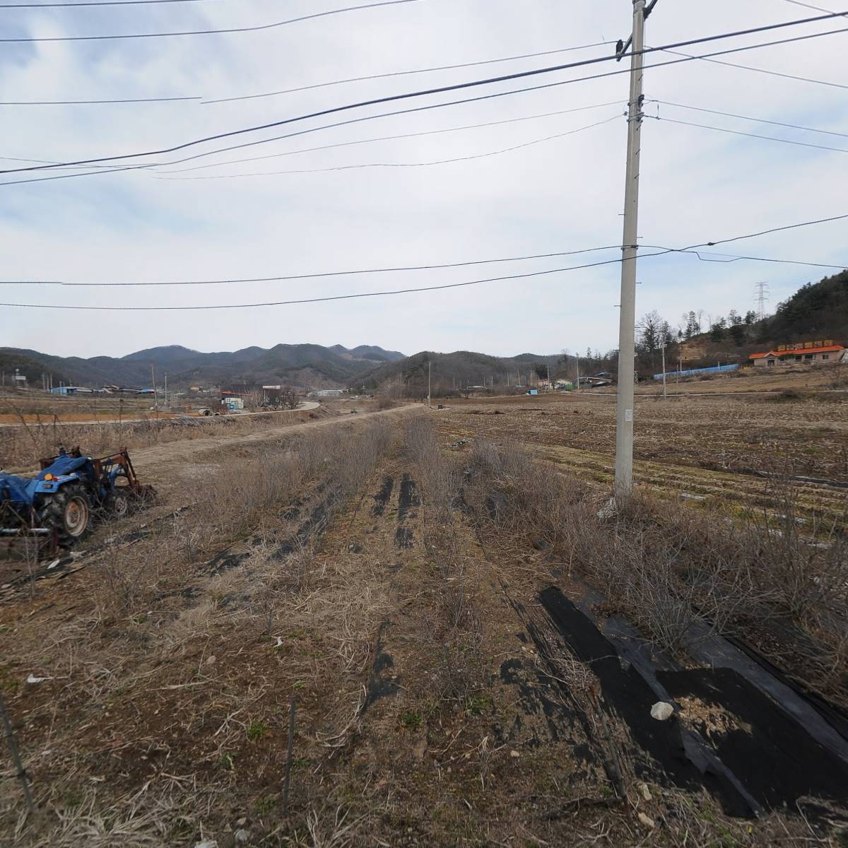 시산2리수양단풍마을