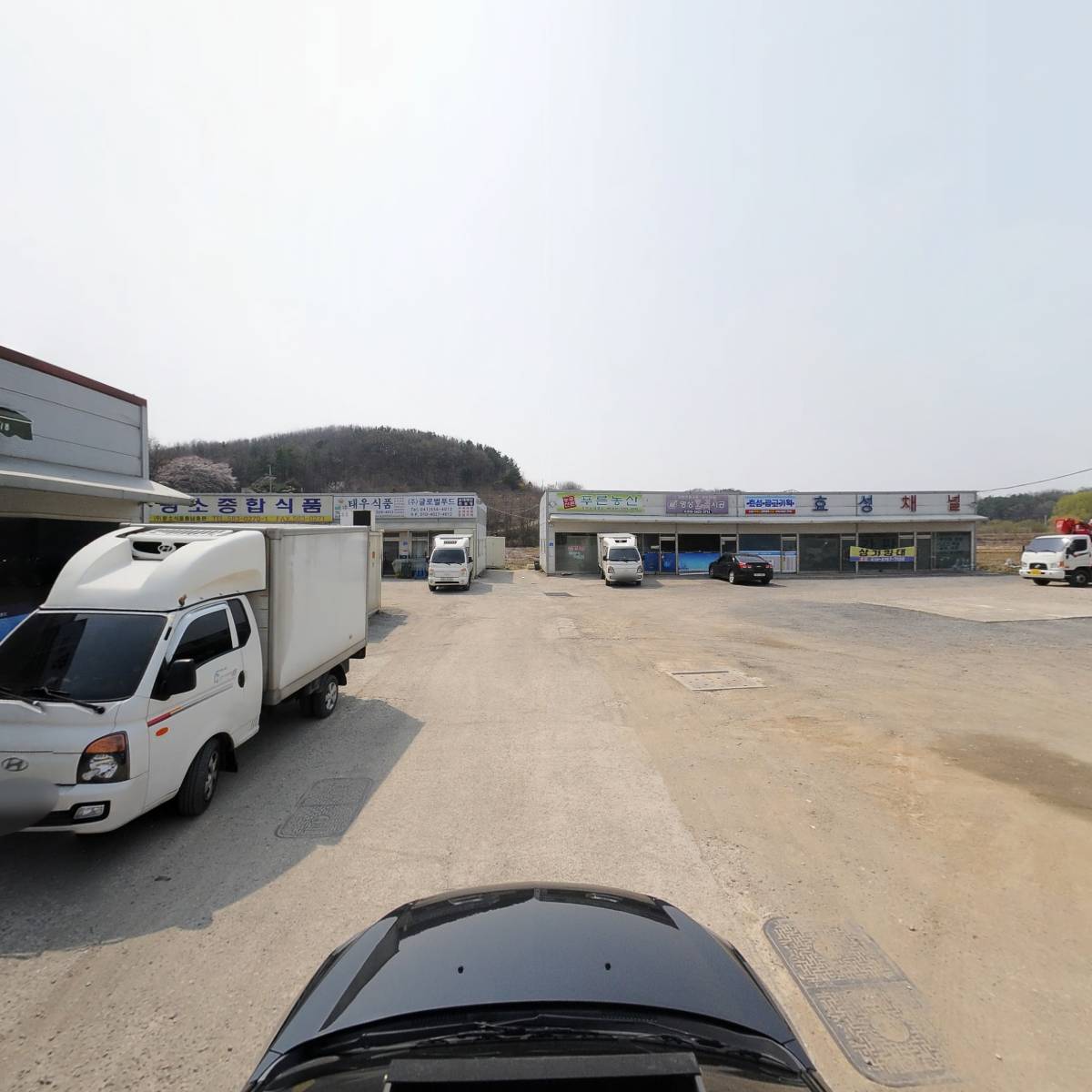 주도유통_4