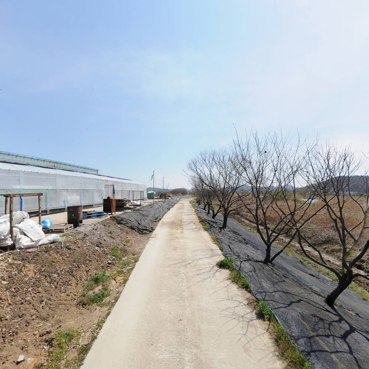 신공주밤생산영농조합법인_2