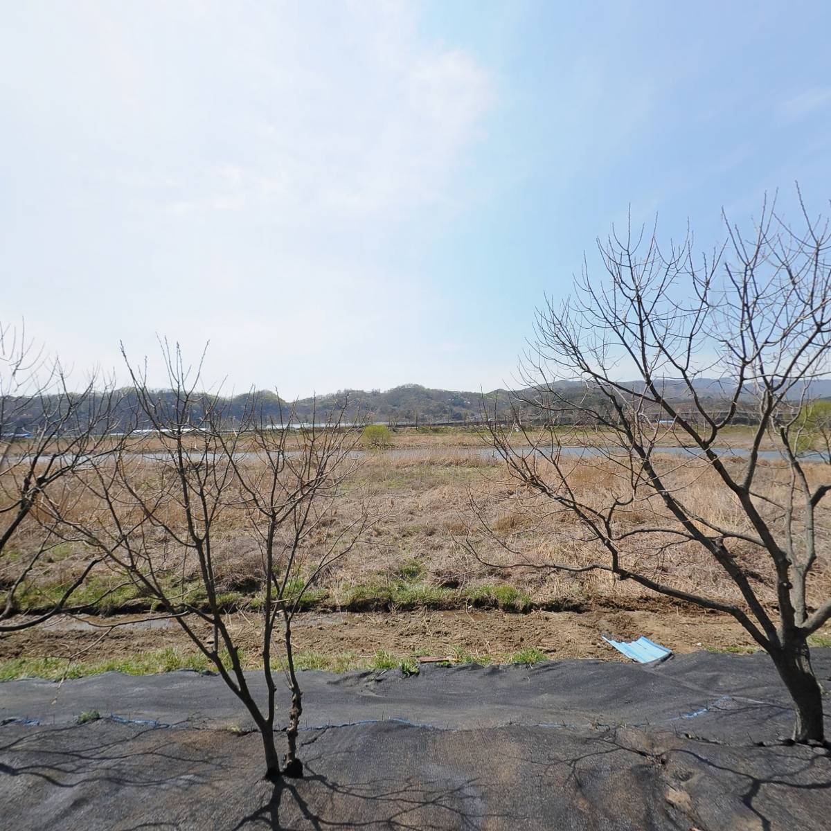 신공주밤생산영농조합법인_3