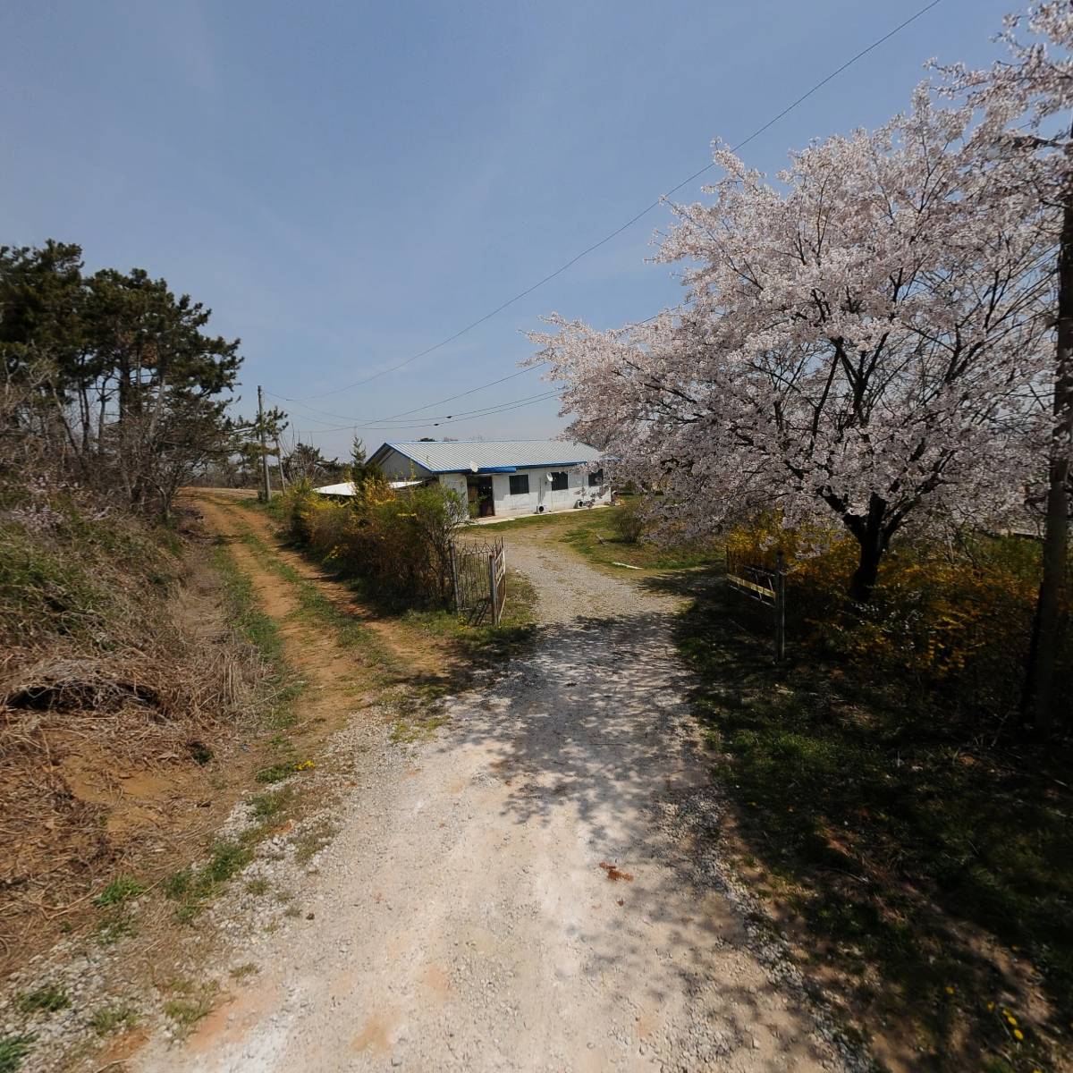 농업회사법인주식회사동신기업부석농장_2