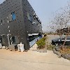 허가네장어