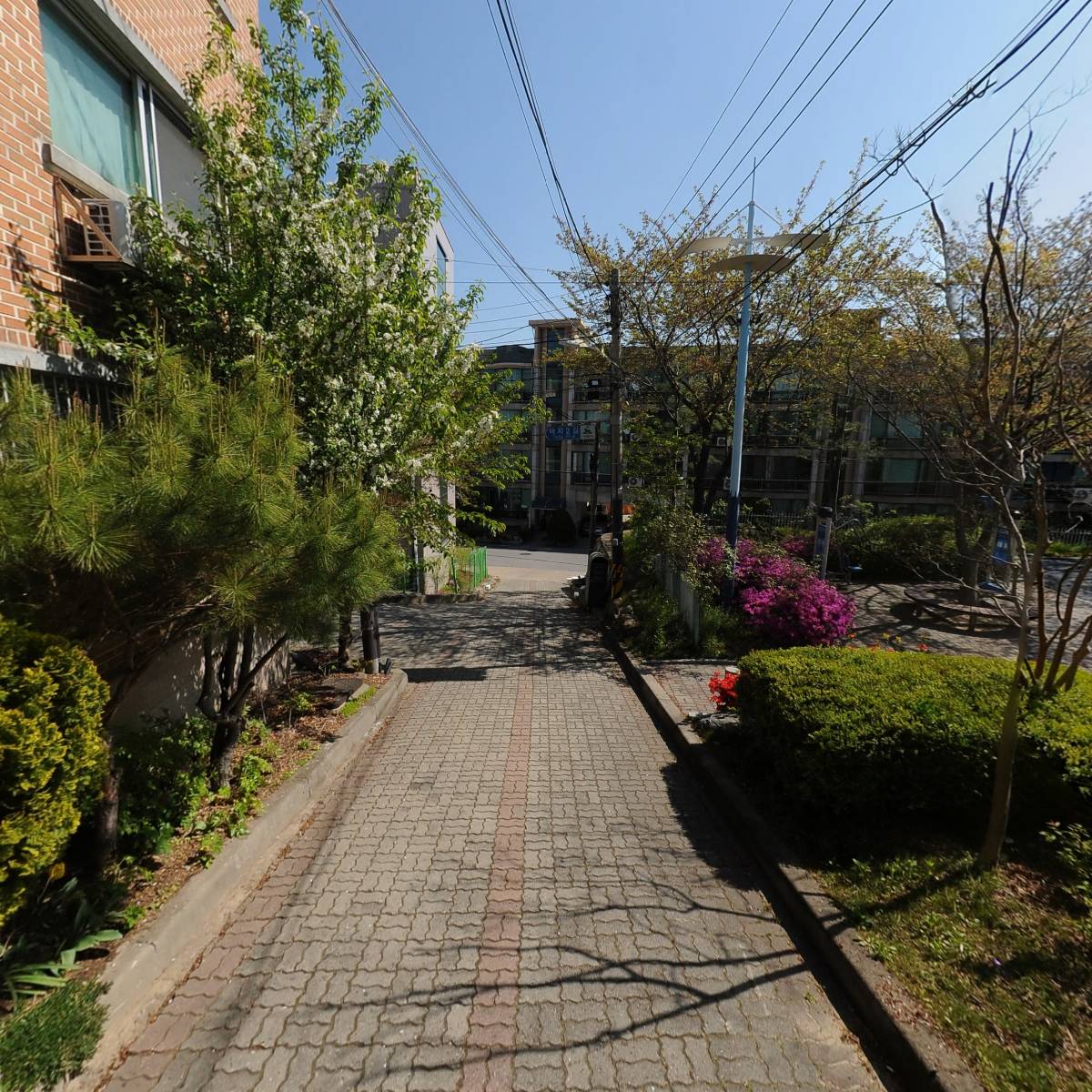 하프피싱_2