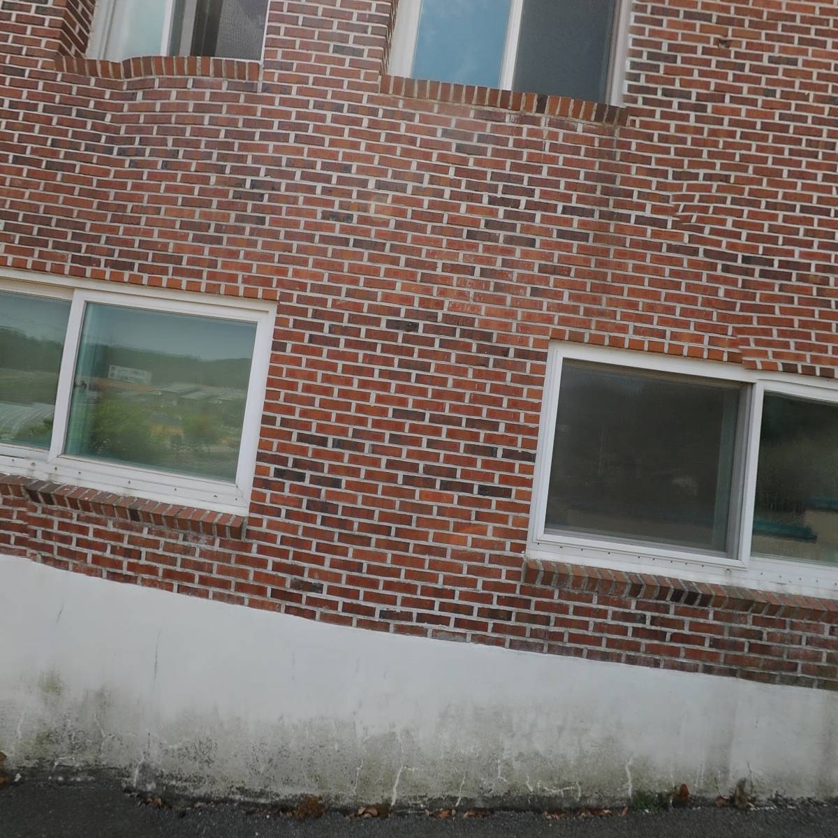 소나무아래_3