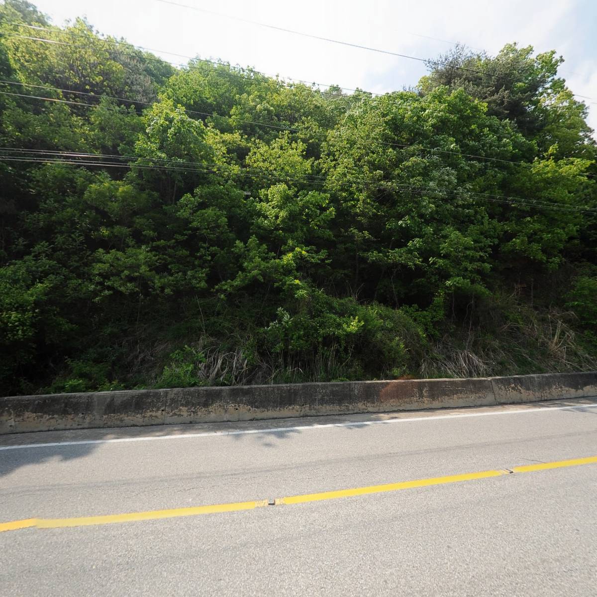 레인보우힐스컨트리클럽_3