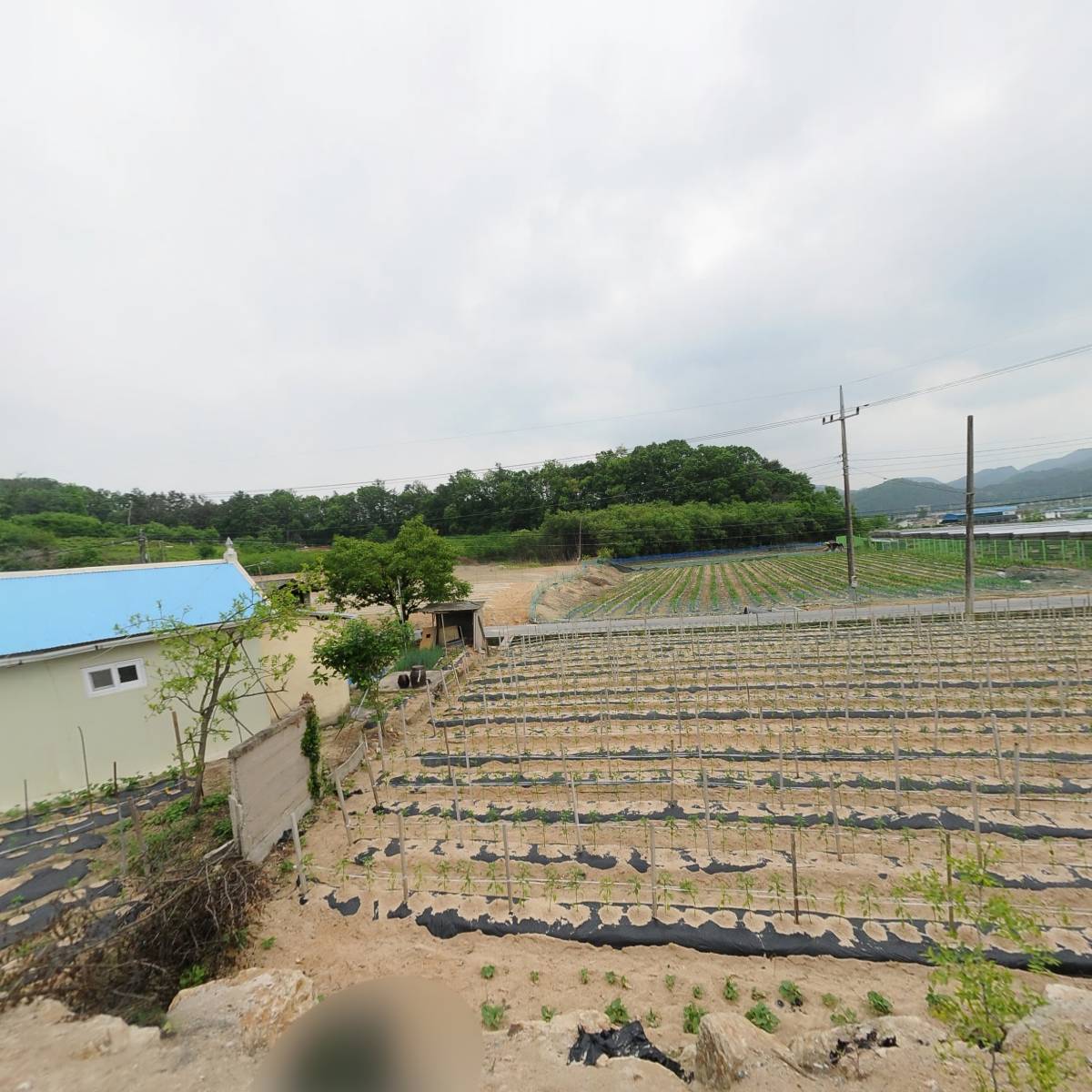 신전푸드시스 중부영동지사