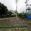 (주)하하푸드