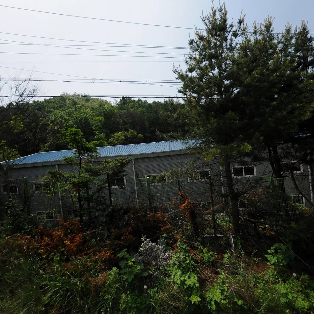 주식회사 코리나