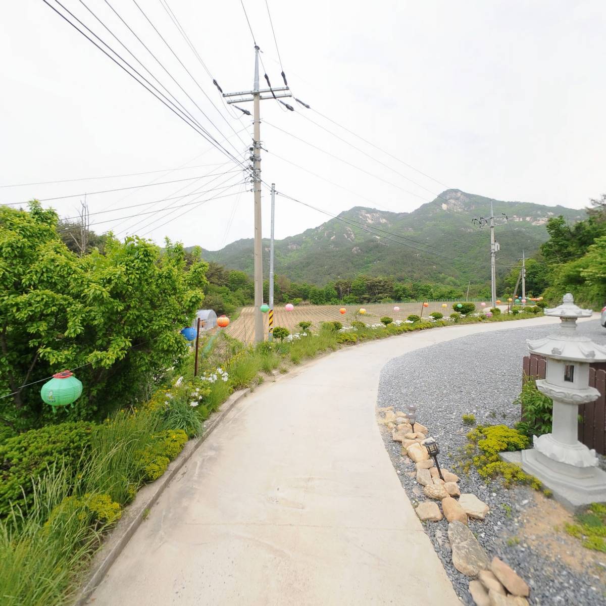 한국불교태고종 선운사_2