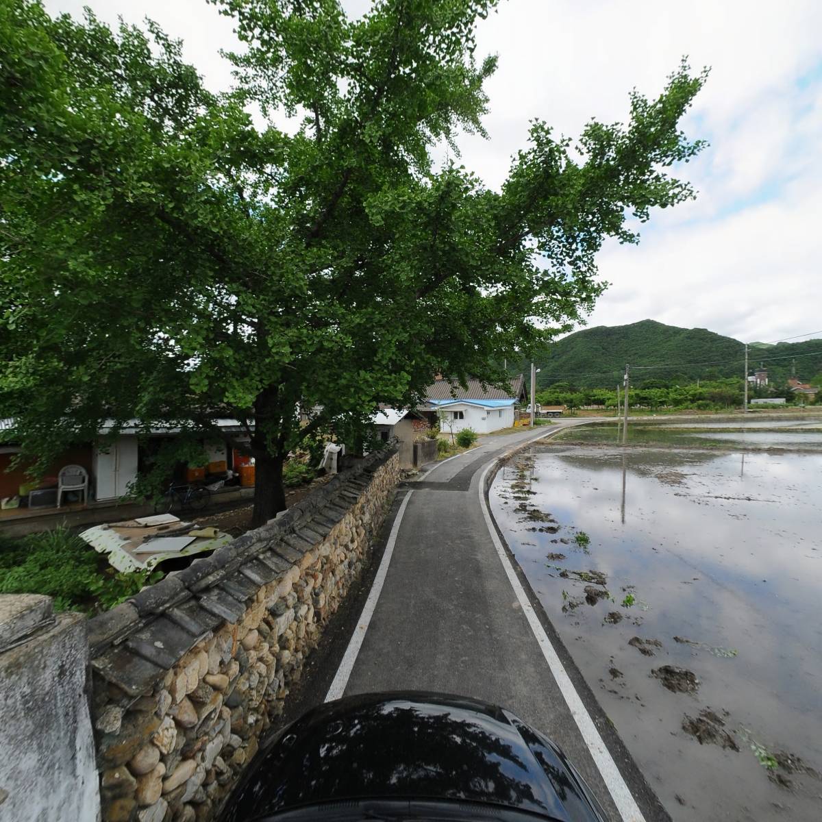 괴산연풍EM사과_4