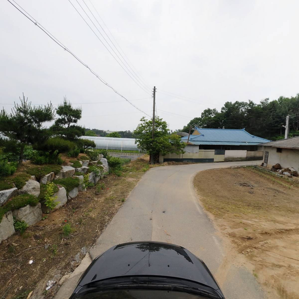 이레코스_4