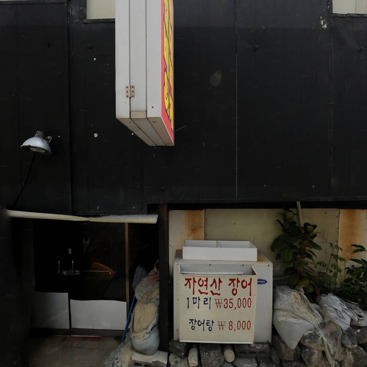 꼬끼오에끌릴레