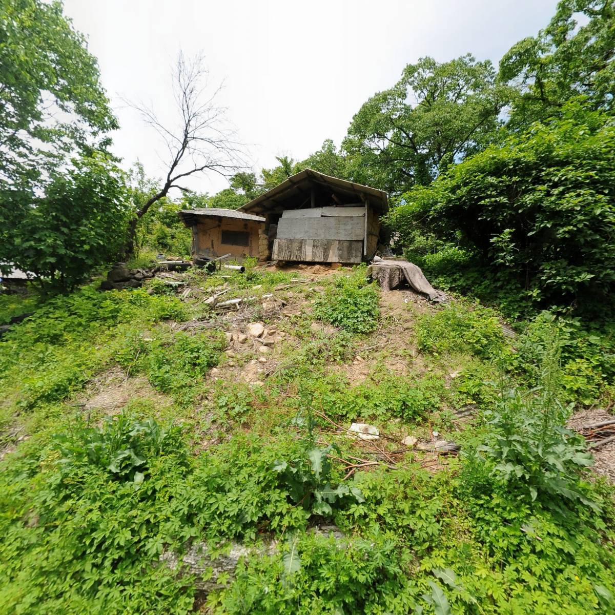 칠보산산장