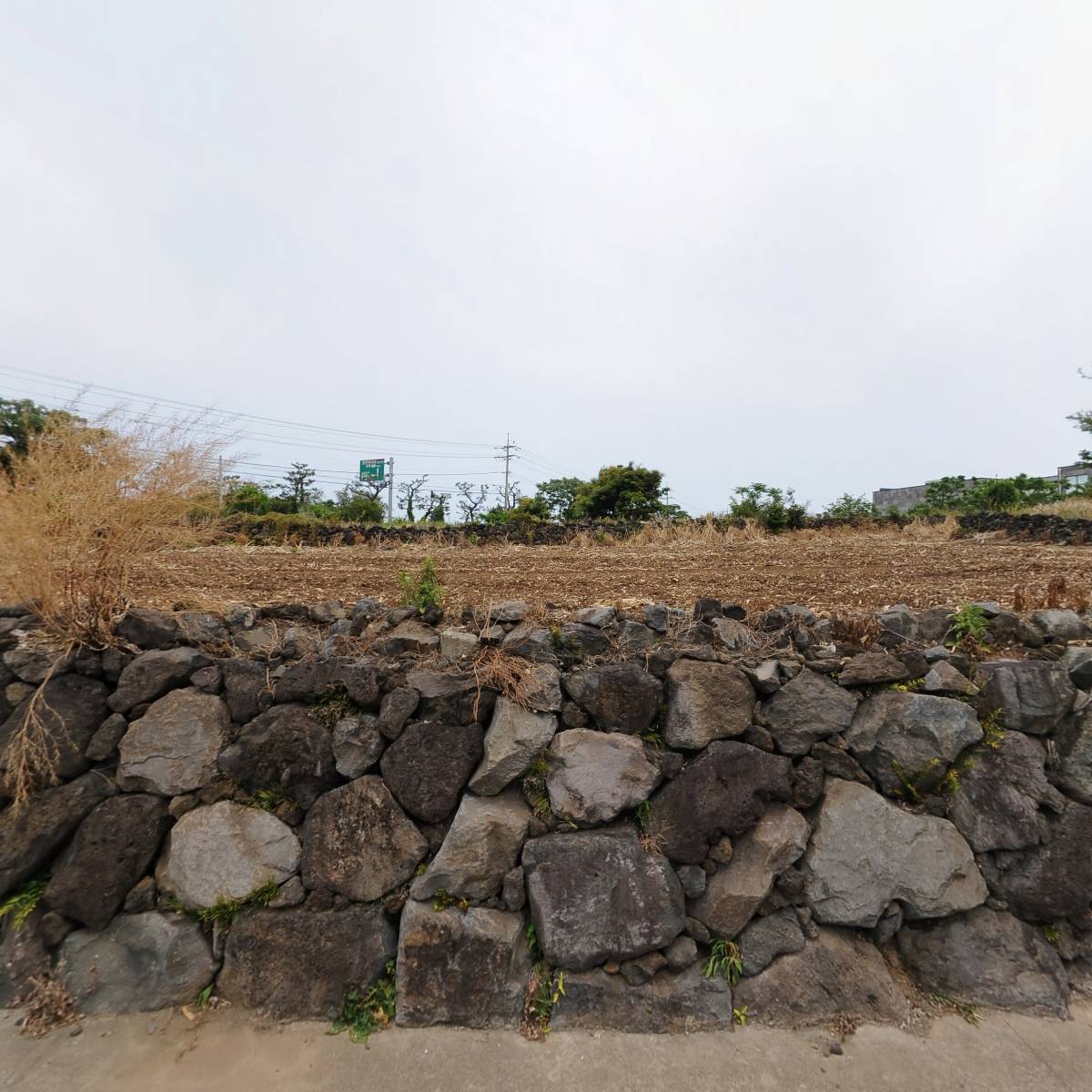 올바른식단연구소_3