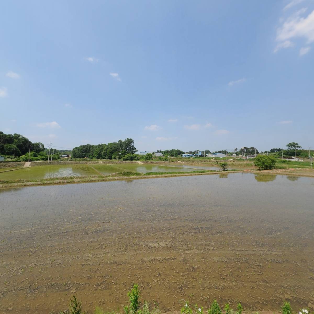 （주）대한고분자_3