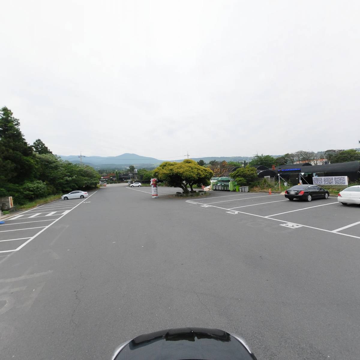 김상민아가리쿠스_4