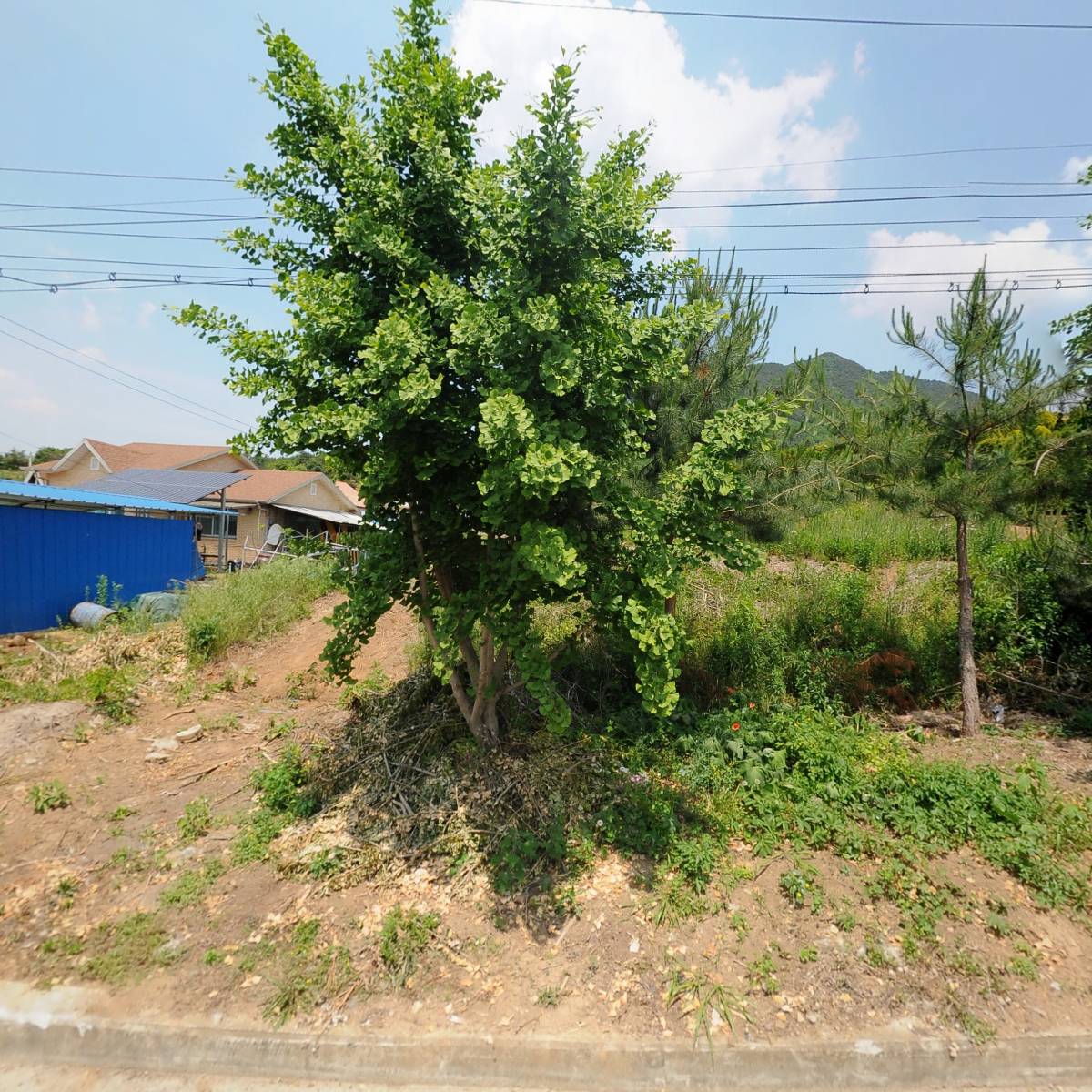 영농조합법인두천농산