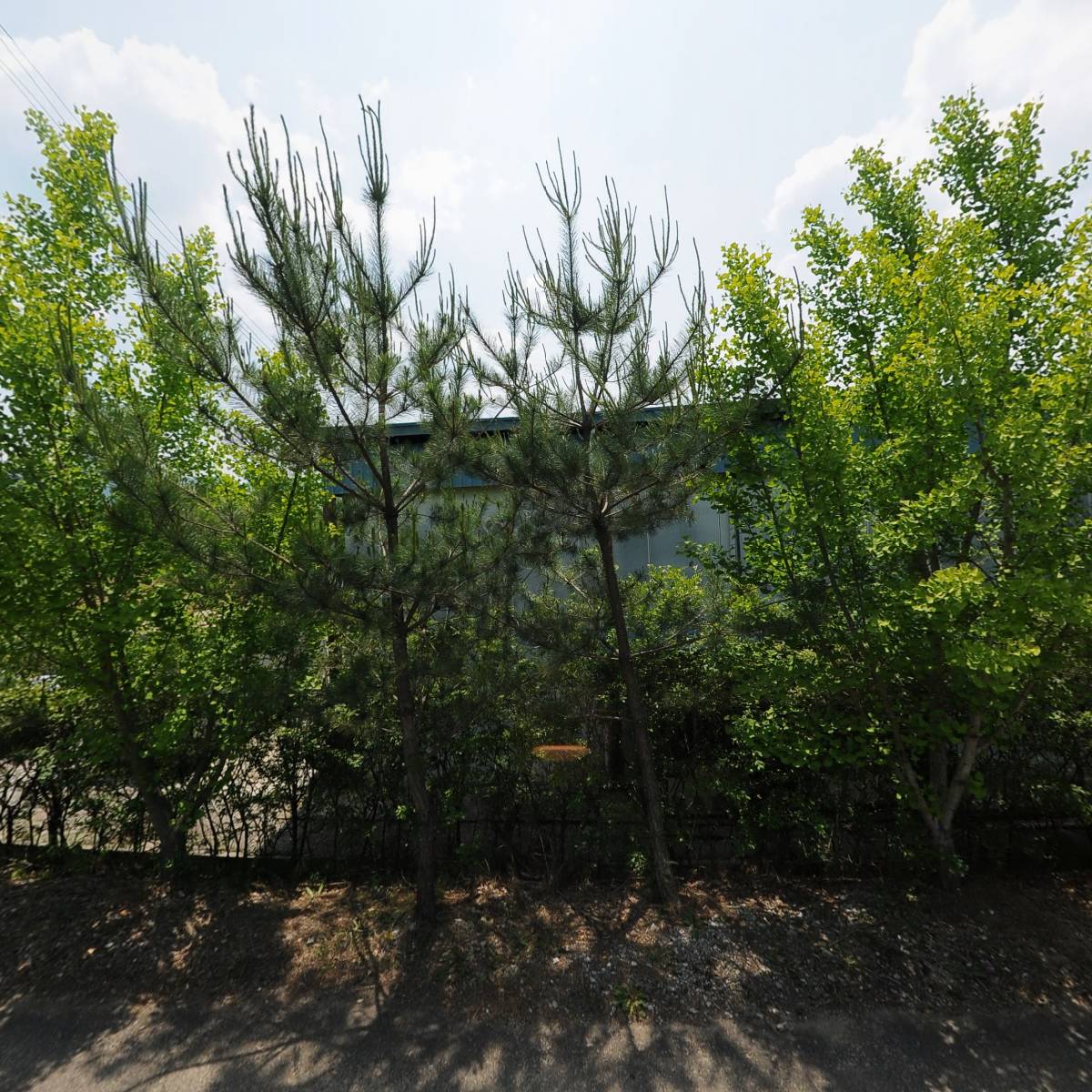 영농조합법인두천농산_3