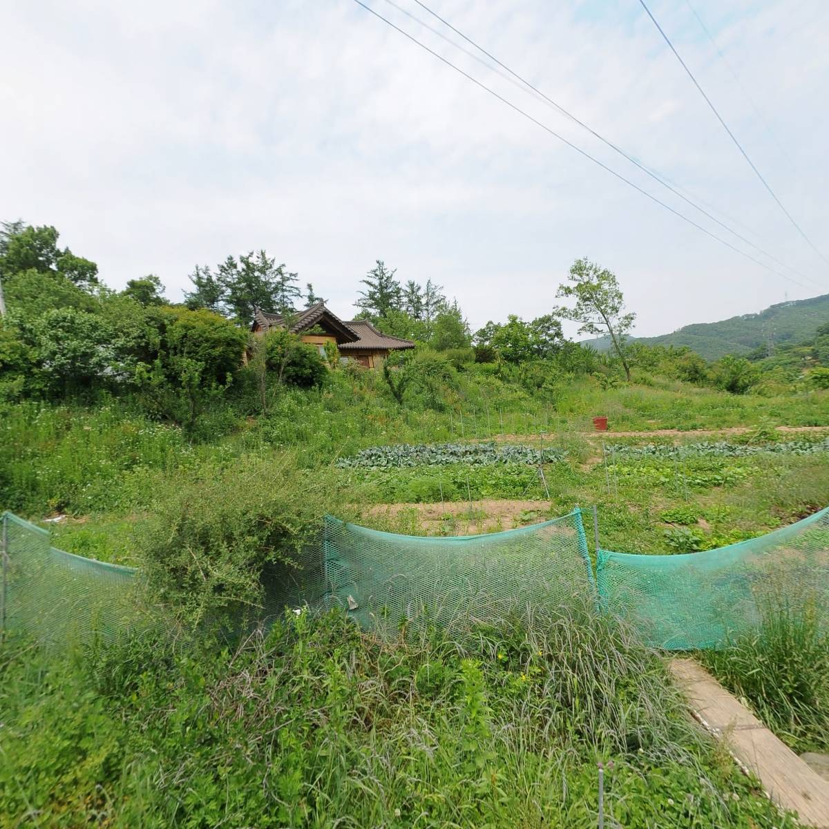 눈비산농산영농조합법인