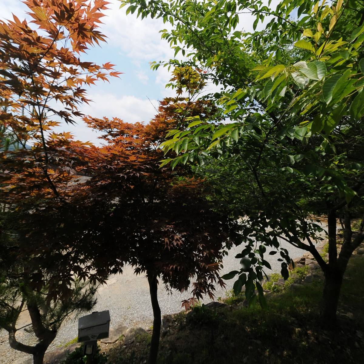 대한불교조계종 정토사_3