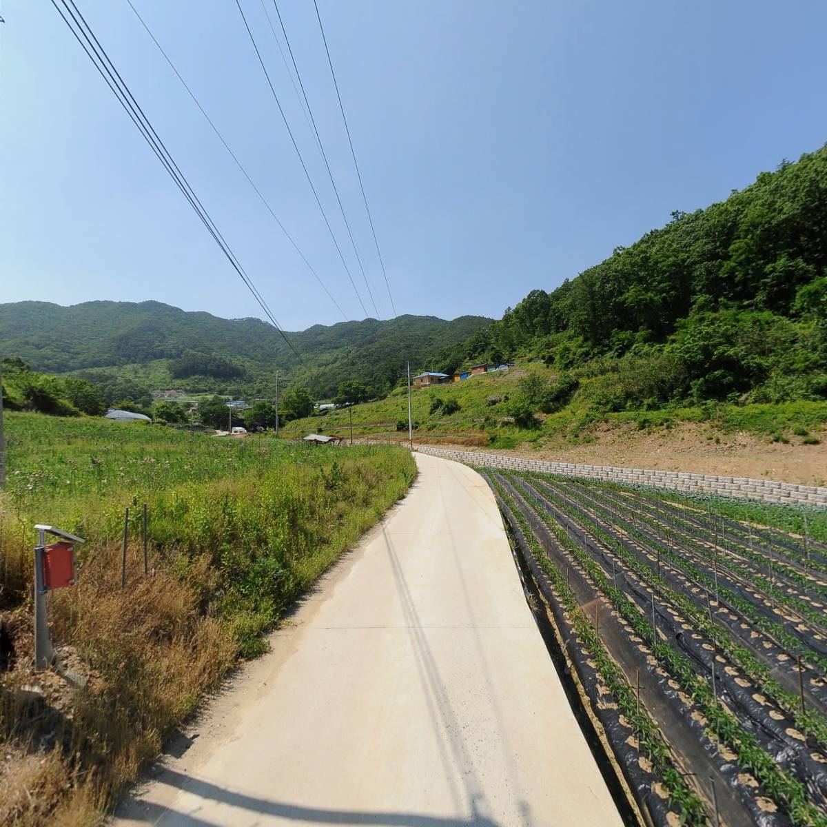 비젼팜_2