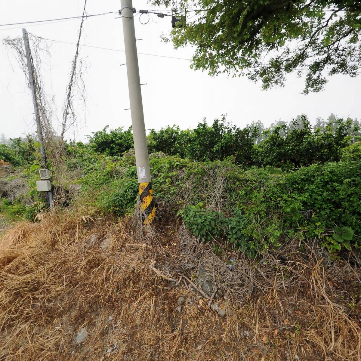 (주)대한교통