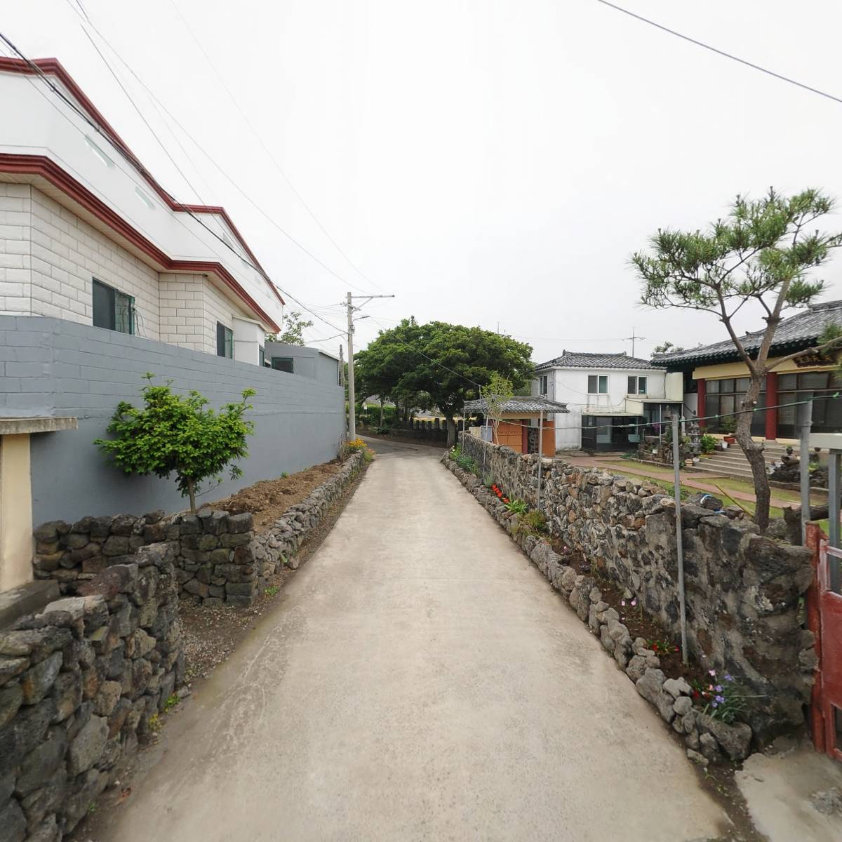 수운교 조천지부_2