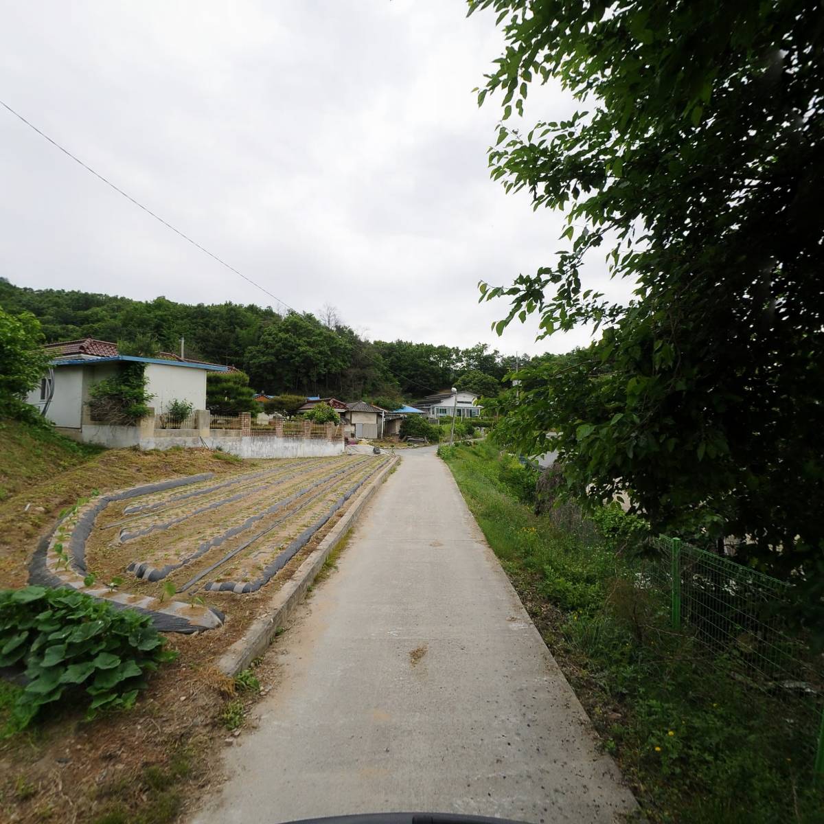 (주)티디에스팜_2