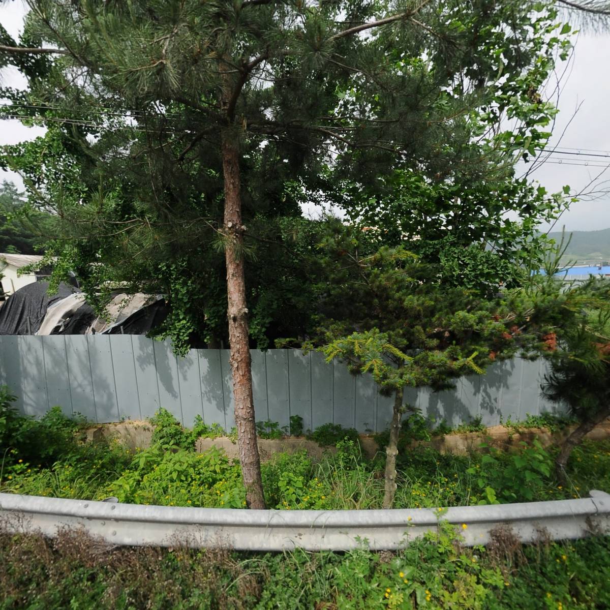 주호농장