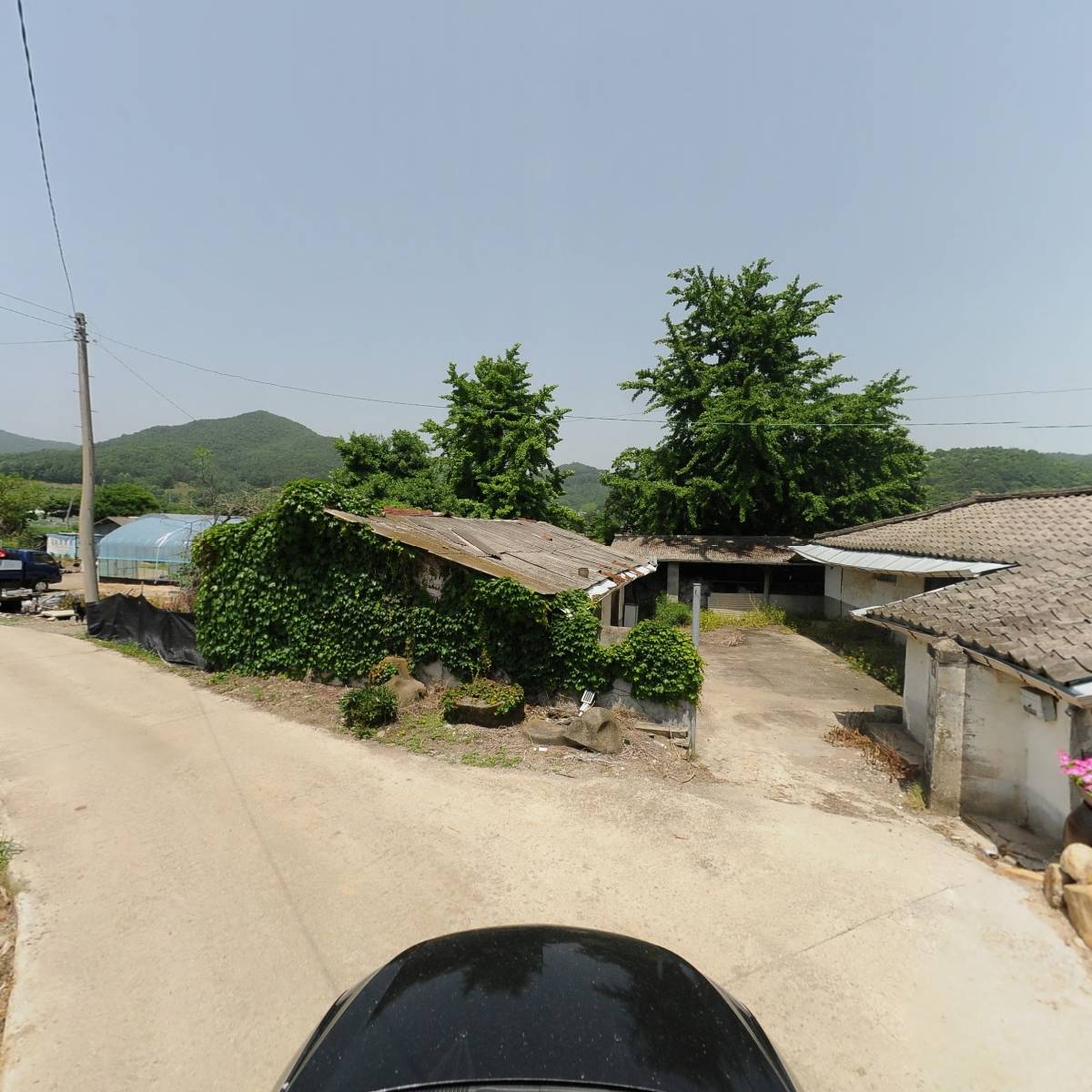 순희네농원_4