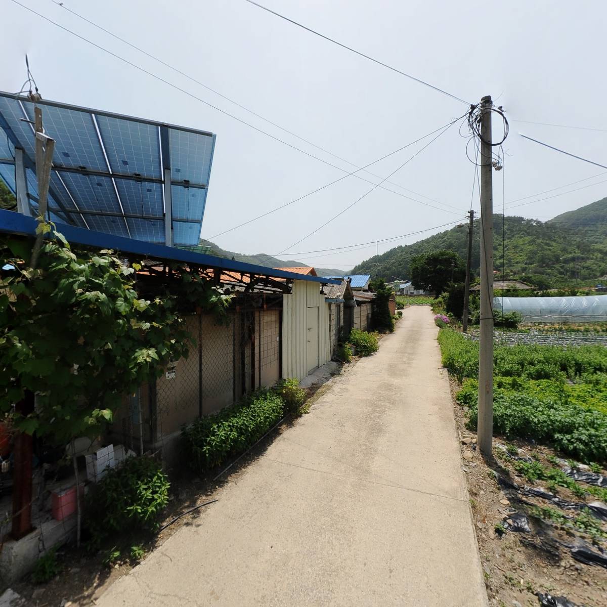 순희네농원_2