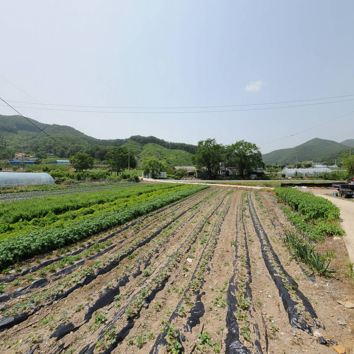 순희네농원_3