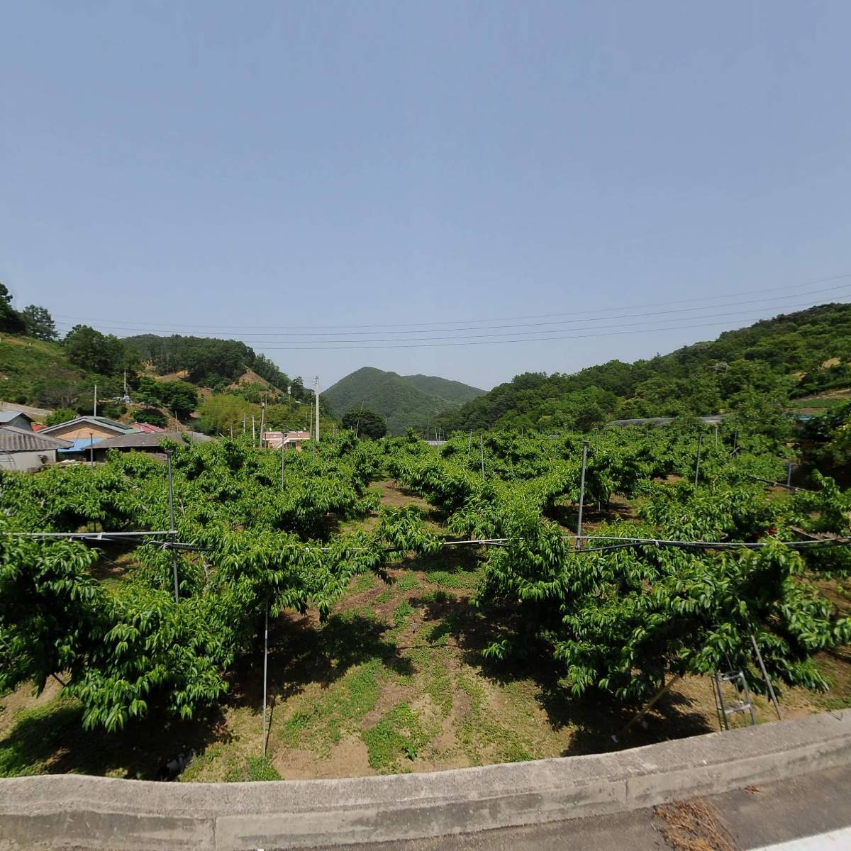 해청송화고농원_3