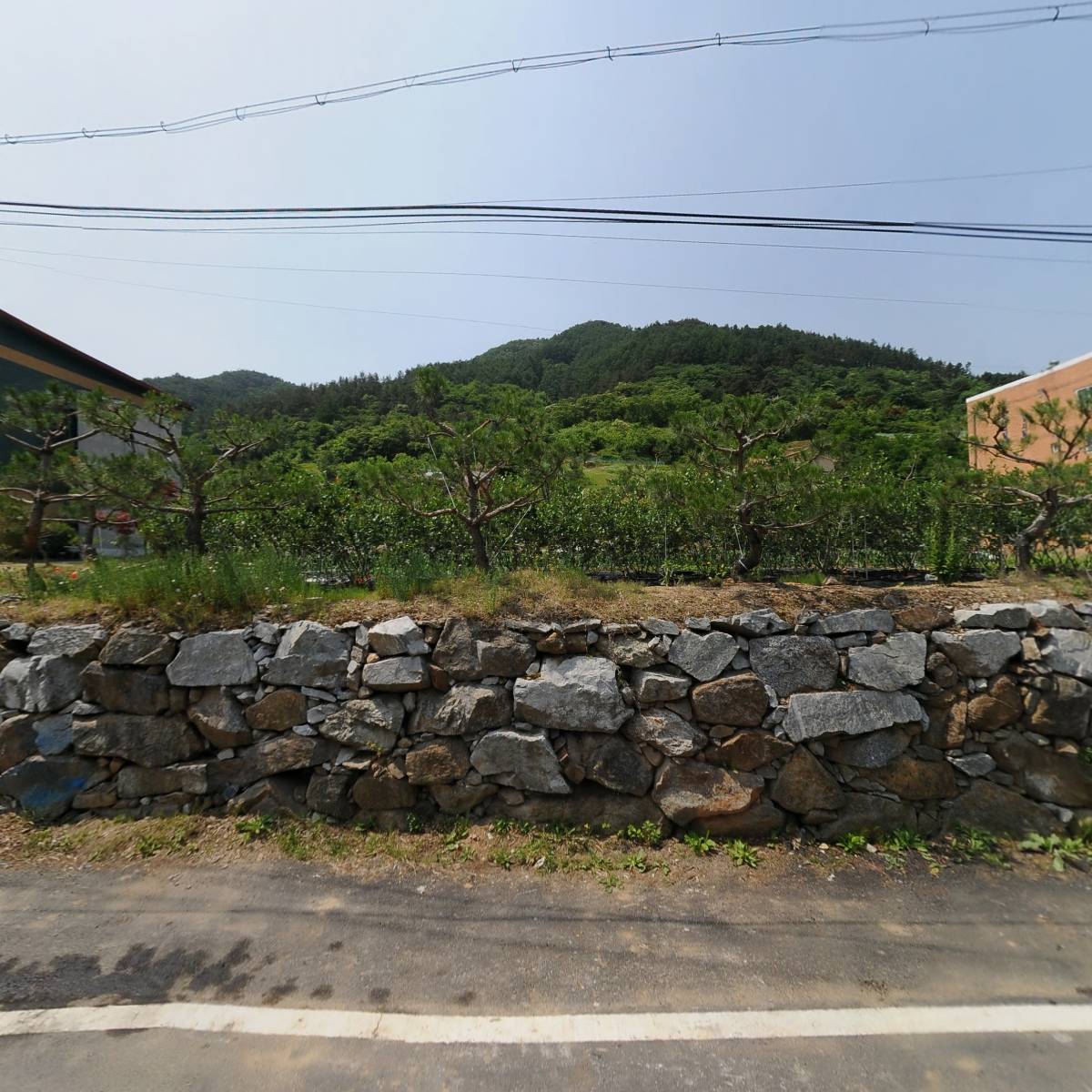 괴산군건설동호회_3