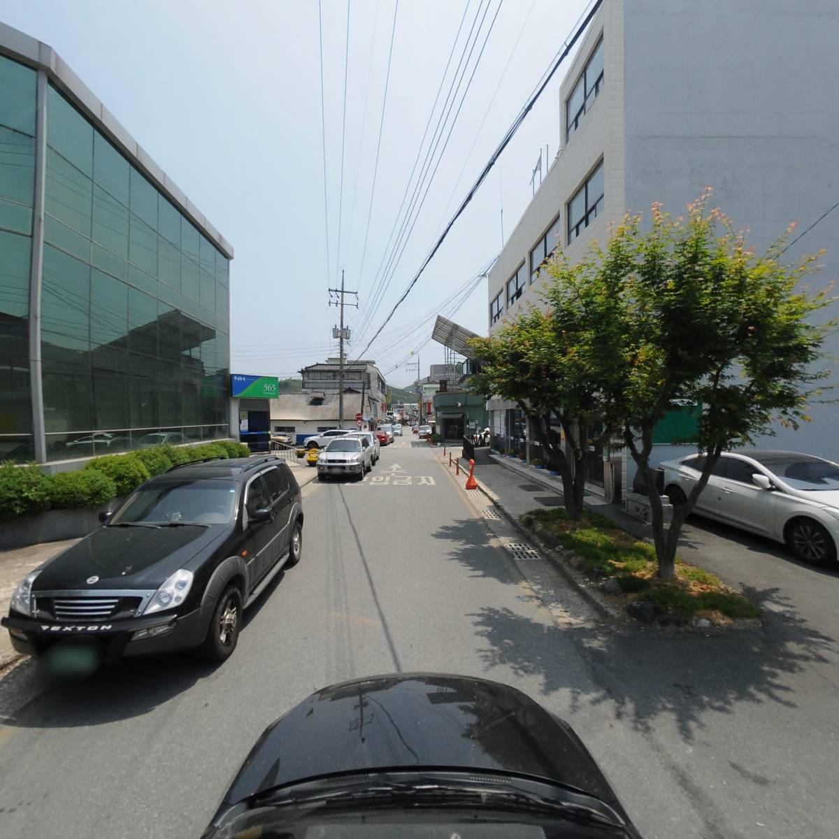 사단법인 괴산군산림협회_4