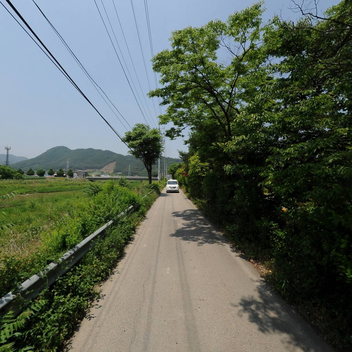 락희팜_2