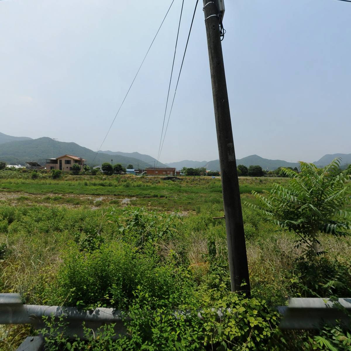 락희팜