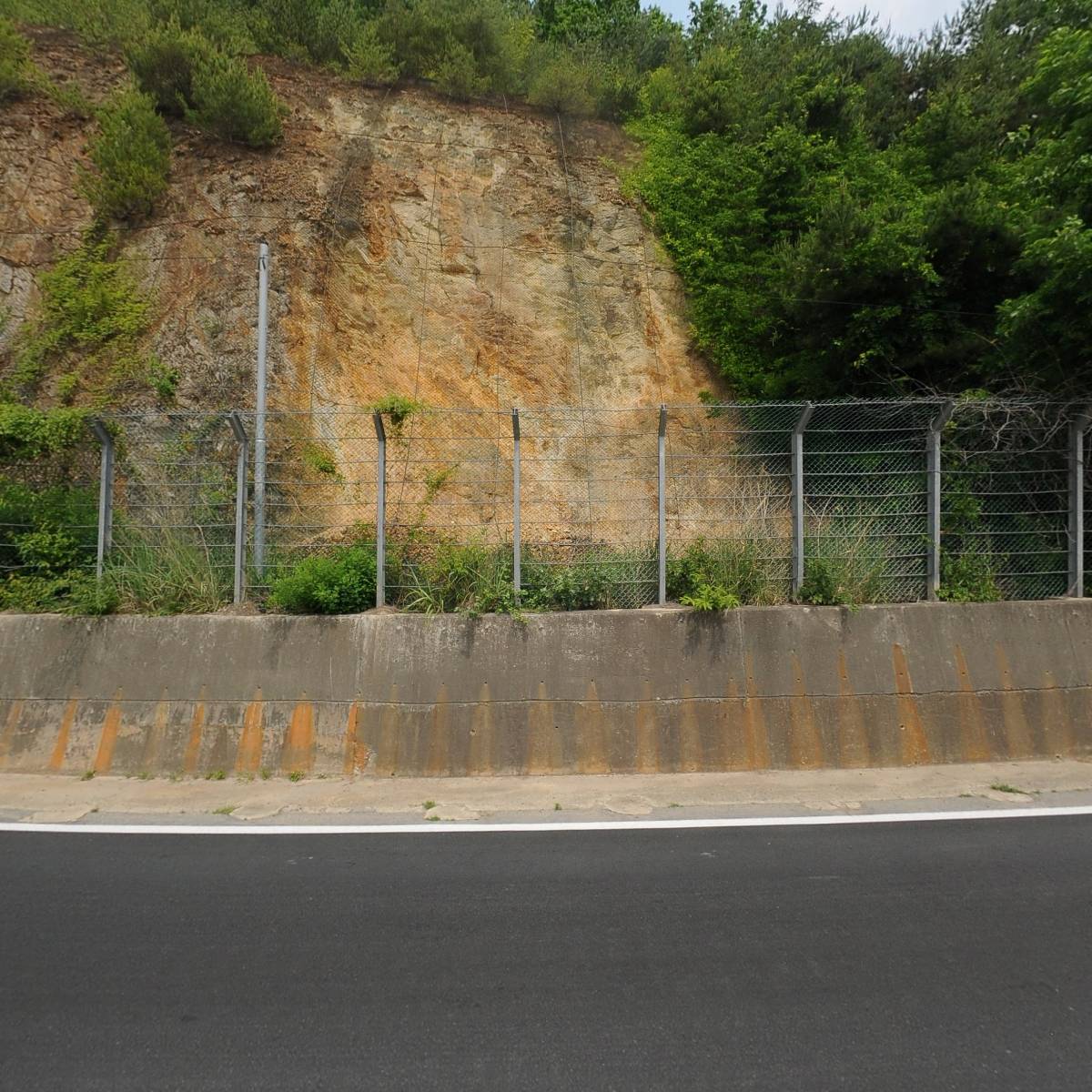 카페탄지리_3