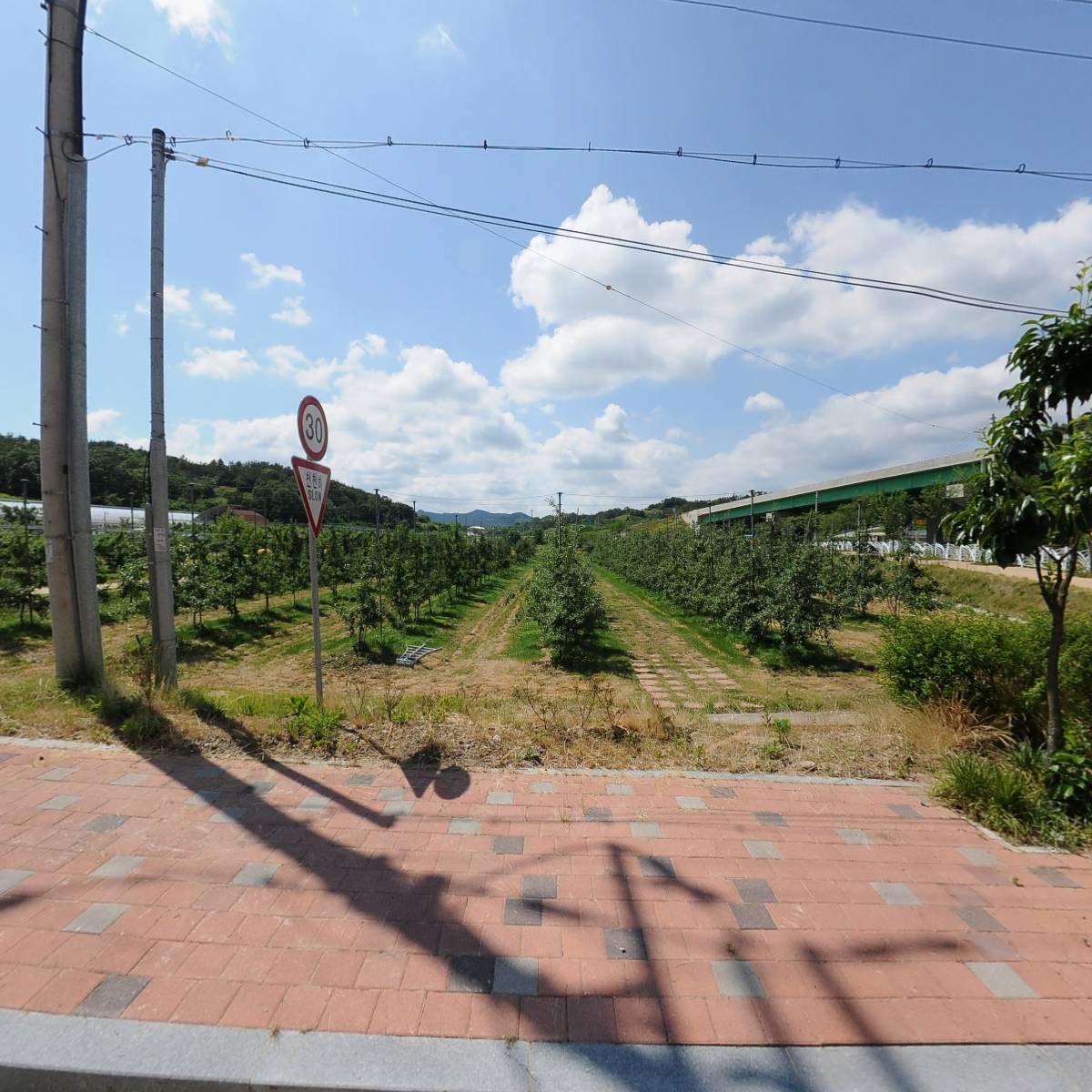 레인보우순카페