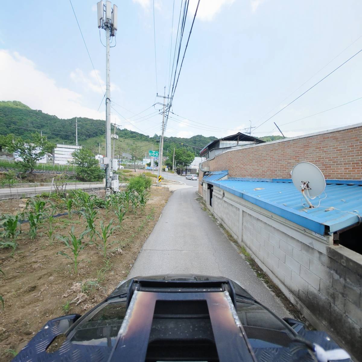 둥지치킨_4