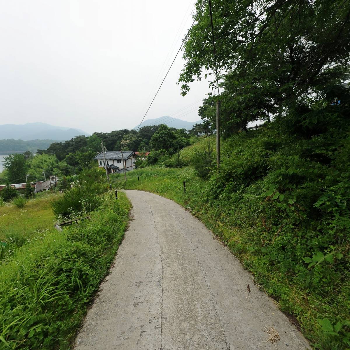 강이랑_2
