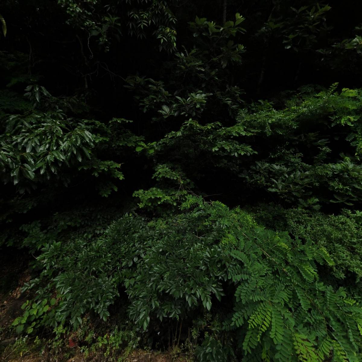 (합자)마로건설_3