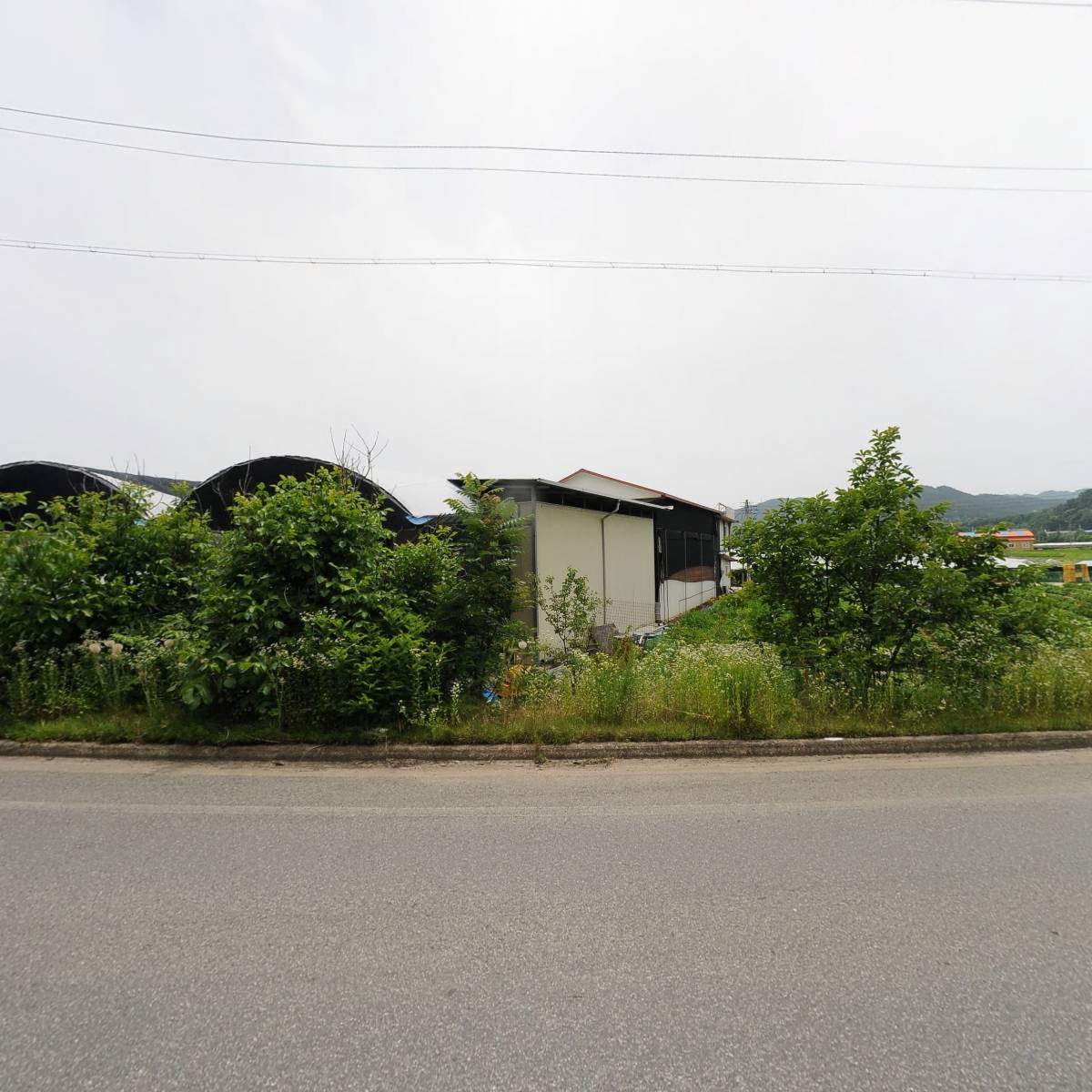 농업회사법인 조은하루(주)_3