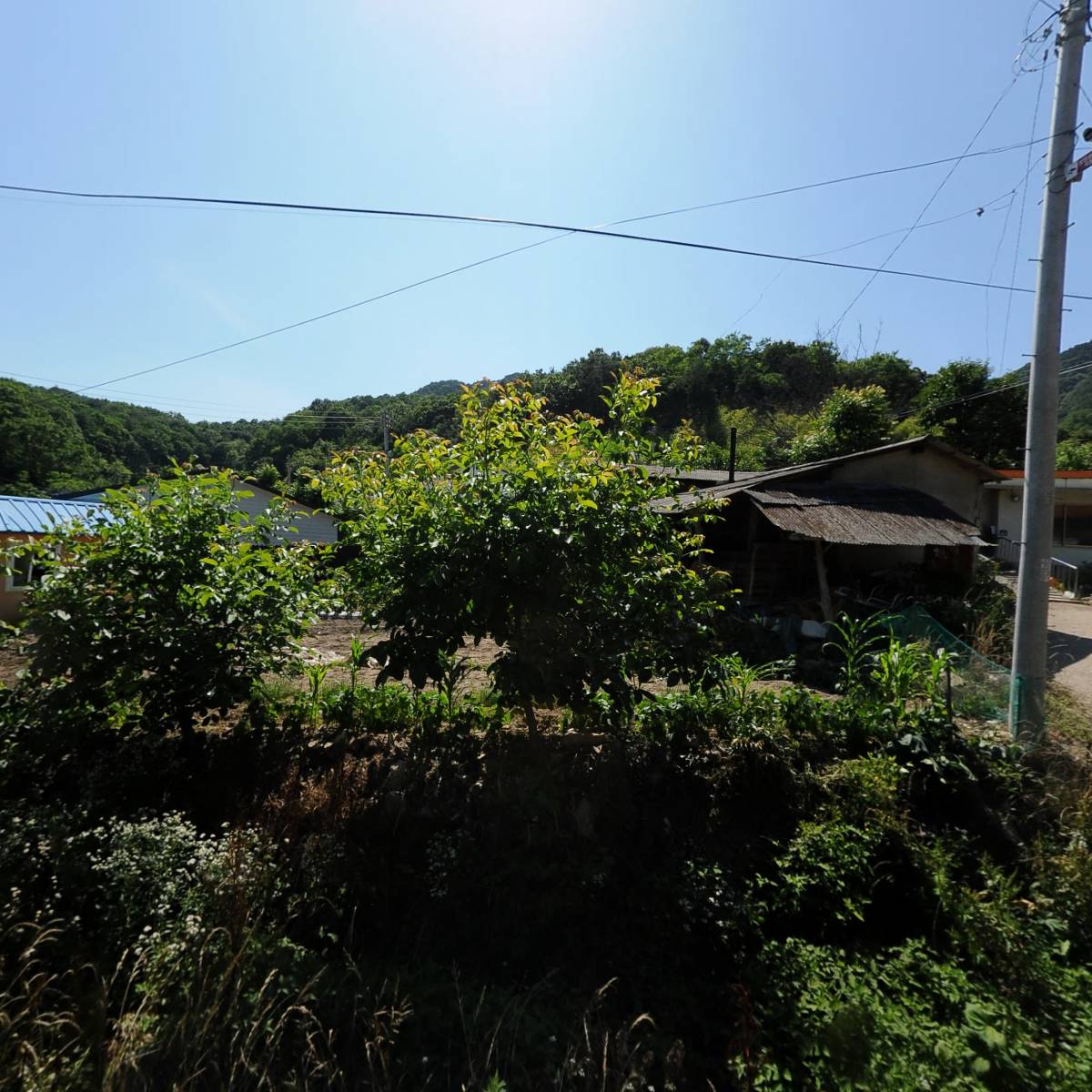 천모산유기영농조합법인