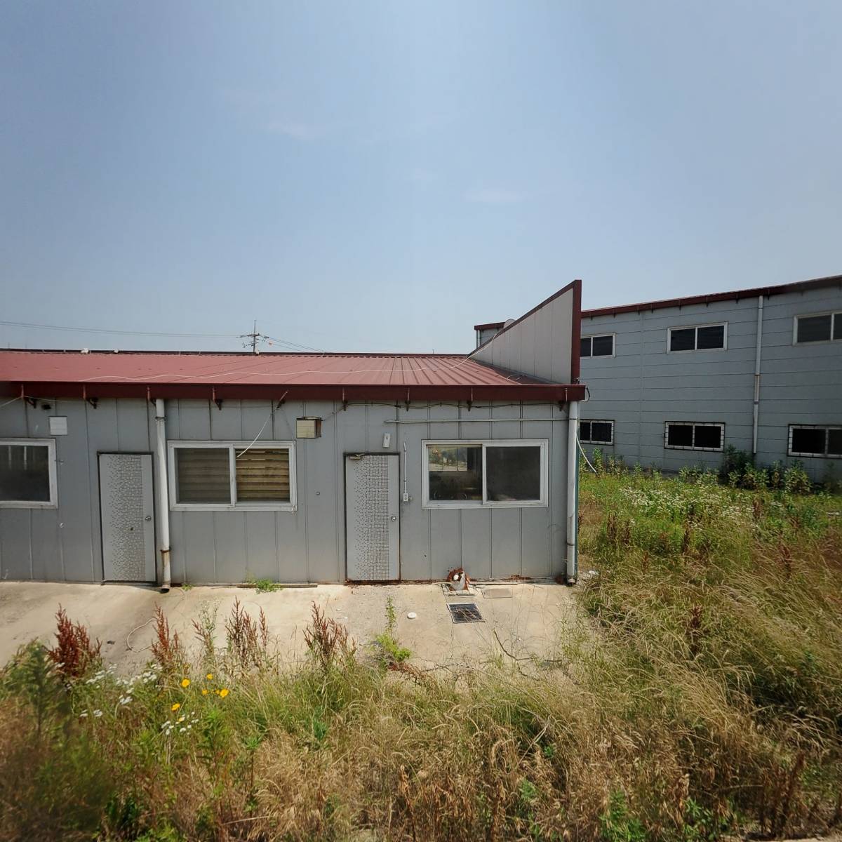 디트로이트 모터스