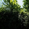 계림직물(주)
