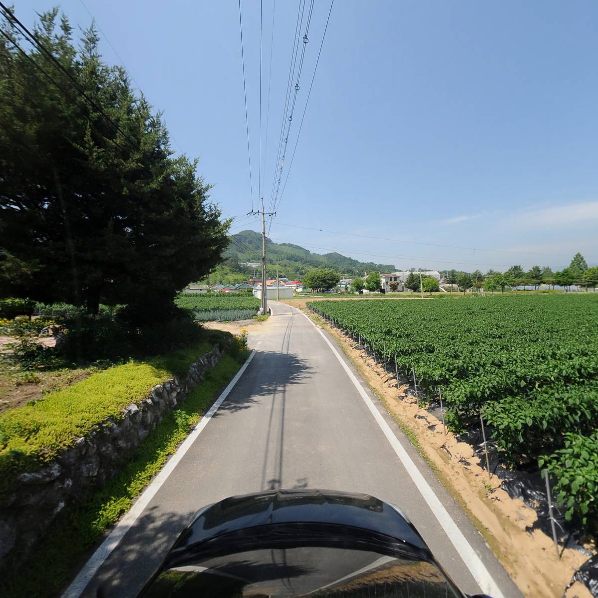 진나라공방_4